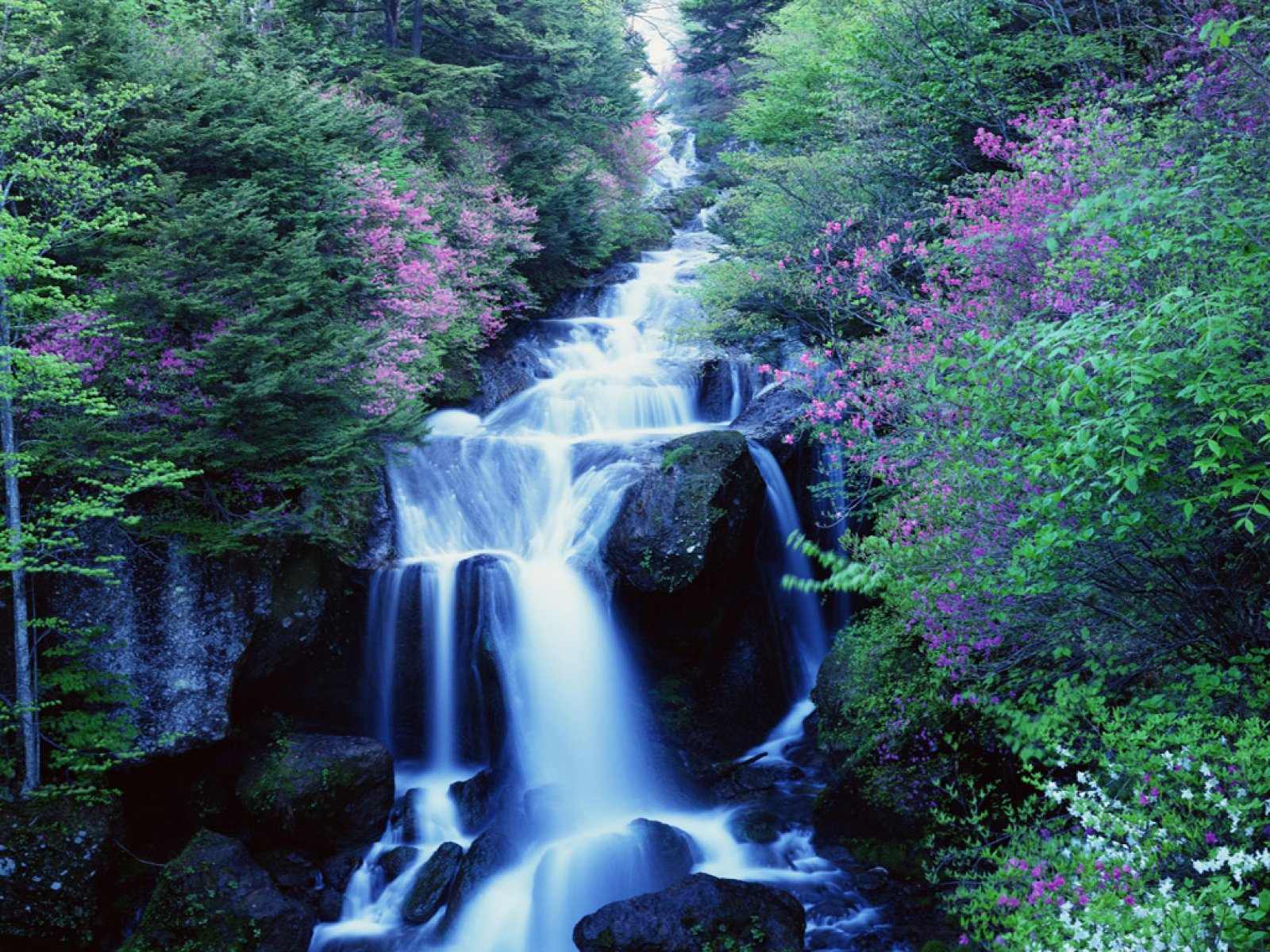 Waterfalls Live Wallpaper Free Download